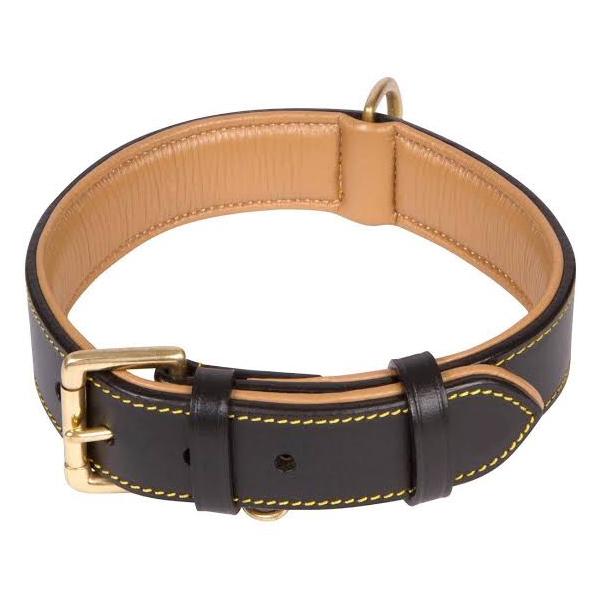 Dog Collar